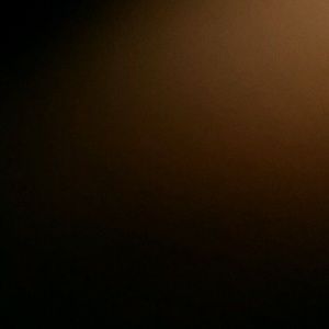 Meet your Posher, Lupe